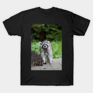 Tongue Out Raccoon T-Shirt